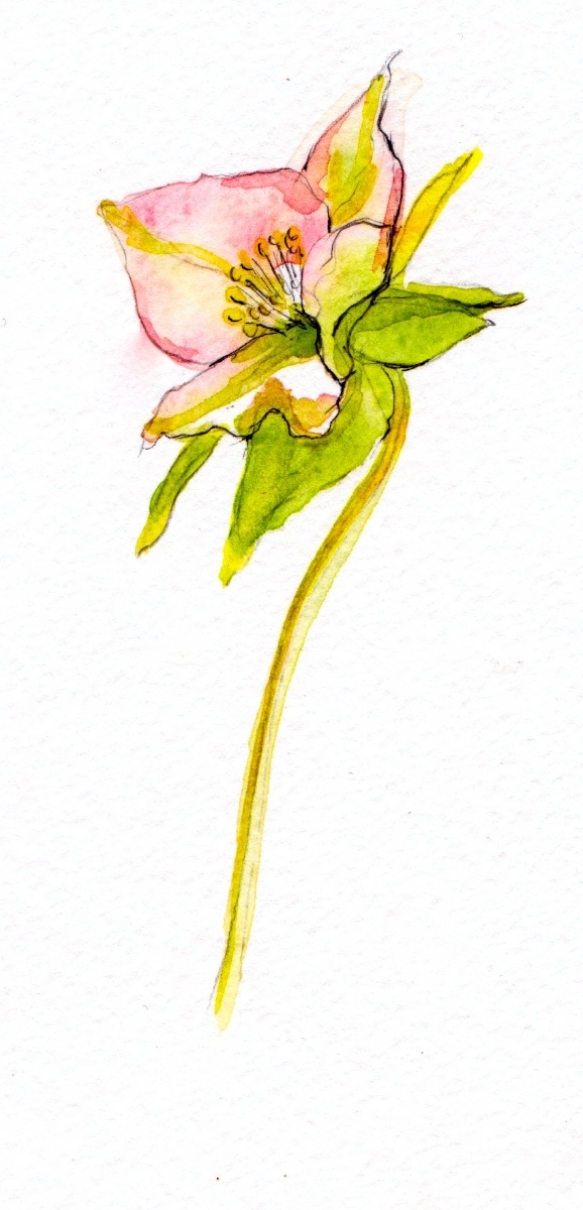 Wedding Flowers Cornwall 11